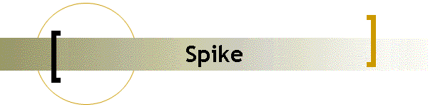 Spike